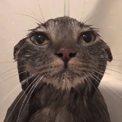 Xivuras's profile picture