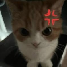 uhJekky's profile picture