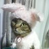 もかちゃん profil fotoğrafı