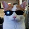 Profilbild von Laffted LLC