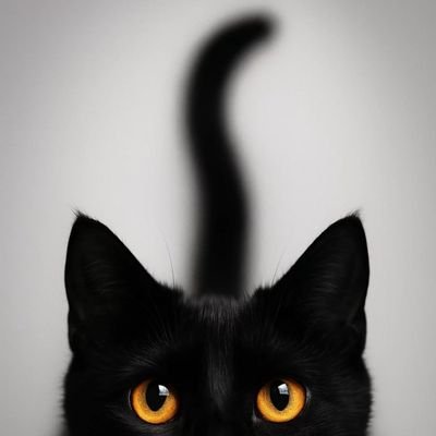 TrungJC6789's profile picture