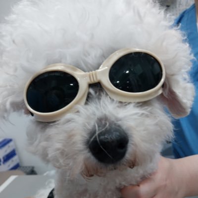강보ㄹ|'s profile picture