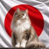 🇯🇵あめし🇯🇵 的头像