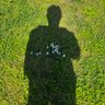 Profilbild von rOggA