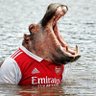 Ndi Mapipi's profile picture