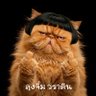 Profilbild von jim waratin