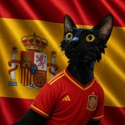 Gatazo 🇪🇸's profile picture