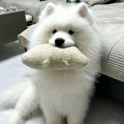 Shay8928666's profile picture