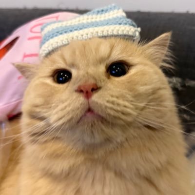 1isthe1's profile picture
