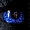 Фото профиля WADIBIG