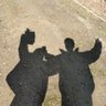 どーらえんもん profil fotoğrafı