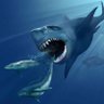 Profilbild von wild ocean (yeni)