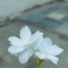 இறையன்பு. செ profil fotoğrafı