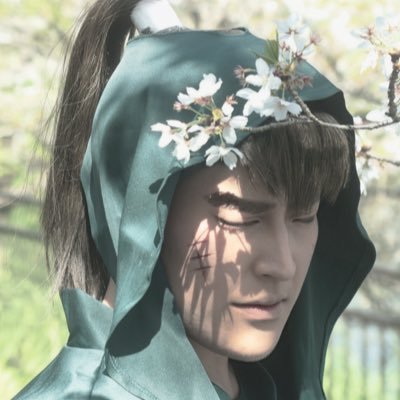 vaiotiger's profile picture