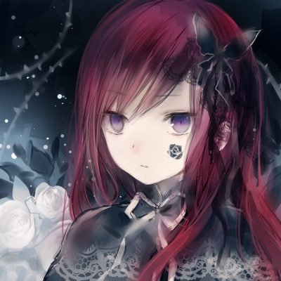allecciel's profile picture