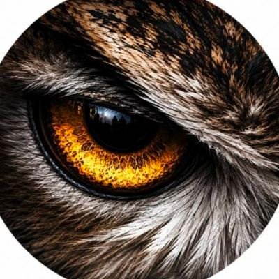 あかつき@愛知名古屋マッチングアプリ写真撮影's profile picture