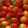 まこと🍓 的头像