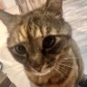 Flyte aneqiii's profile picture