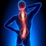 HealthySpineTips's profile picture