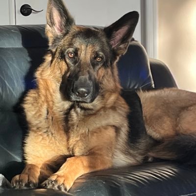 SteCK1878's profile picture
