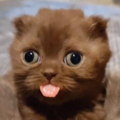 RandomJasper's profile picture