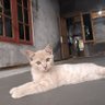 Фото профиля Obett