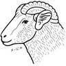 メーにゃ🐑's profile picture