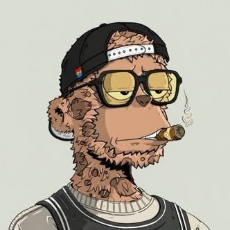 _the_secrets's profile picture