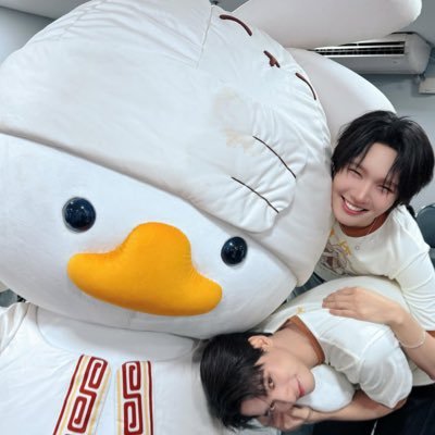 momo's profile picture