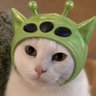 Profilbild von Tushar
