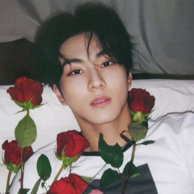 ジェイ猫's profile picture