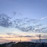 し profil fotoğrafı