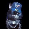 DTheGentleman's profile picture