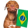 Profilbild von Cláudio Silva