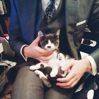 ahellohoru's profile picture