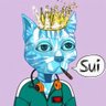 Фото профиля Sui ⁺⛩🐈⬛🐈⬛✨️