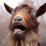 Kudha profil fotoğrafı