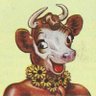 Profilbild von babalam