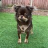 aaron's profile picture