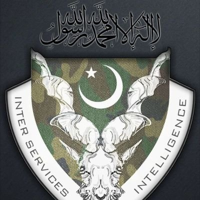 Markhor 🇵🇰's profile picture