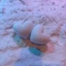 海 的头像