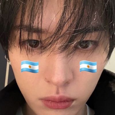 Lu lk 🐰🇦🇷 vio a skz's profile picture