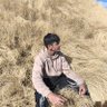 Jeel Patel 的头像