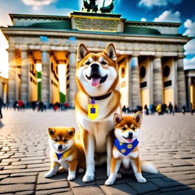 DickerBerliner's profile picture