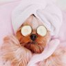 Mimi63eh? profil fotoğrafı