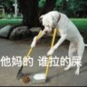 秒也认了 profil fotoğrafı