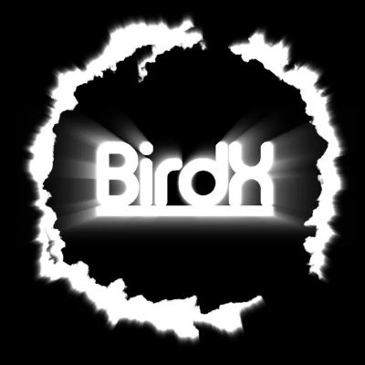 BirdX3D's profile picture