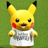 ピカチューのみいさん⚾️9/5.9.12.23.26.27⚾️ profil fotoğrafı