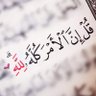 Фото профиля Ali