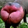 Kerry-C profil fotoğrafı